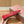 LP POINTED-TOE BALLET FLATS 25S IN RED LAMBSKIN