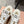Miu 25 Small Bow Sneaker Coffee White Suede Wool 541921