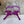 JC 26s Emani 100 Sandals 10cm Violet Orchid Suede 996789
