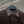 Prada 2025 Shirt Jacket Brown Cotton Wool