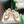 CD Tech Sneakers White Light Brown Cowhide Mesh Suede 562672