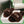 CD 26s Slippers Coffee Fur 999420