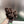 CD 26s Slippers Coffee Fur 999420