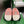 CC 26s Slippers White Pink Fur 999409
