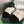 CC 26s Slippers Black White Fur 999411