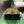 CC 26s Slippers Black Khaki Fur 999412
