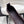 BV Charlotte Ballet Flat Coffee Woven Leather 769990