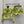 CD 25 Miss Dior Set Lime Yellow mix White Cotton
