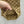Gucci 2025 Pant Camel and Ebony Polyester Fiber