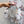 CD 26s Qixi Midi Skirt White Cotton 414412