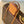 LV 2025 Toast Wearable Wallet 20cm Camel Brown Leather 347100