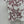 Dior 25C T-Shirt Papillon multicolore Pattern 228799