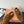 MiuMiu 25 sneaker brown suede 521965