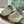 UGG PeakMod Mule Grayish Olive Suede 525930