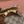GG 26s Ophidia Medium Boston Bag 30 In Warm Beige And Brown Canvas