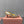 Miu 26s Pointed Toe Pumps 55mm In Gold Calfskin With Bow