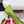 RV Rose Vivier Flower Slingback Flat Pink Green Satin 617284