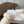 Loewe slippers white leather wool 477789