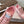 Jimmy Choo Sunny F Sneaker Pink Lace Leather