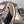 Brunello Flannel Runners With Monili Black Brown Suede 624478