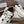 Brunello Runners With Shiny Details White Grey Brown Suede Leather 624480