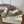 Brunello Runners With Shiny Tab Olive Suede 624491