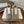 Brunello Runners With Shiny Tab Taupe Suede 624492