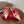 VT Studdy Pumps 65mm Beige Red Leather 624352