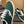 Prada 26ss Casual Shoes Green White Canvas 624428