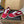 Prada 26ss Casual Shoes Red White Canvas 624429