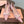 Miu 26s Pump 5.5cm Light Pink Canvas 887657