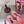 DC Colorful Crystals Pink Lace & Lurex 343138