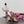 DC Slingback Pumps Pink Silk & Sheepskin 343142