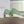 CD 26s Saltwind Sneakers Cedar Green Canvas 920082