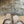 CL Cassia Lace Up Pumps Diamond-Embellished 10.5 Beige Satin 637426