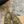 CL Mocallista Loafers Taupe Suede 637427