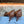 Pra 26s Pump 6cm Brown Cowhide 804088