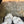 CC Double Bow Sandal 2cm White Sheepskin 804022