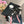 CC Twilly Mini Scarf 120cm Black Pink Mulberry Silk 953290