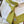 HM Boucles En Vrac Tie Yellow Twill Silk 210012