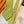 HM Boucles En Vrac Tie Yellow Twill Silk 210012