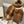 CC 25s Scarf 180cm Brown Cashmere 973462