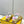 FF Wave Pulse Yellow Fabric Suede 862620