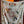 HM Starry Night Chorus Scarf 140cm White Yellow Cashmere 970974