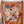 LV Double-sided Scarf 135cm Multicolor Silk Cashmere 973069