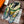 HM Starry Night Chorus Double-Sided Scarf 140cm Green Silk Cashmere 143714