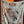 HM Starry Night Chorus Double-Sided Scarf 140cm White Silk Cashmere 143718