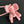 BV 25 Elephant Charm Pink leather