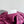 BV Small Dustbag 21cm Cinnabar Intrecciato Calfskin Leather
