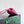 BV Small Dustbag 21cm Cinnabar Intrecciato Calfskin Leather